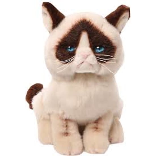 Grumpy Cat 23CM - Standard