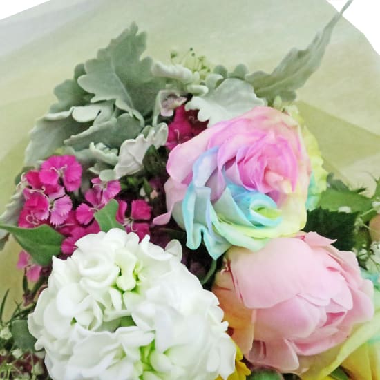 Unicorn Dream - Standard