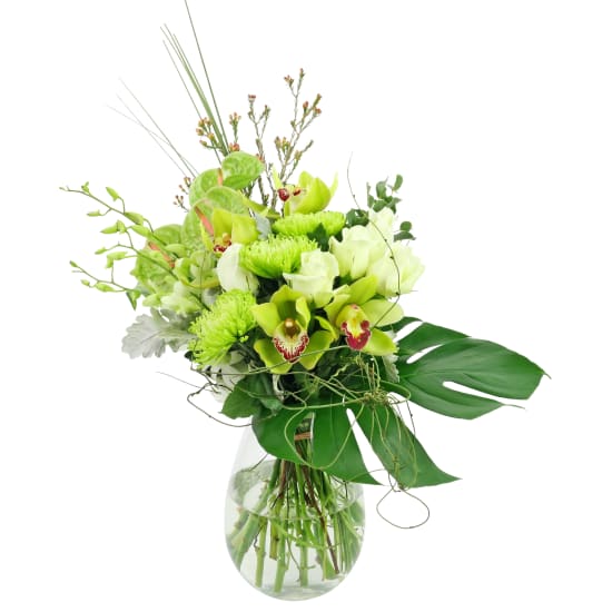 Grand Gala In A Vase - Standard