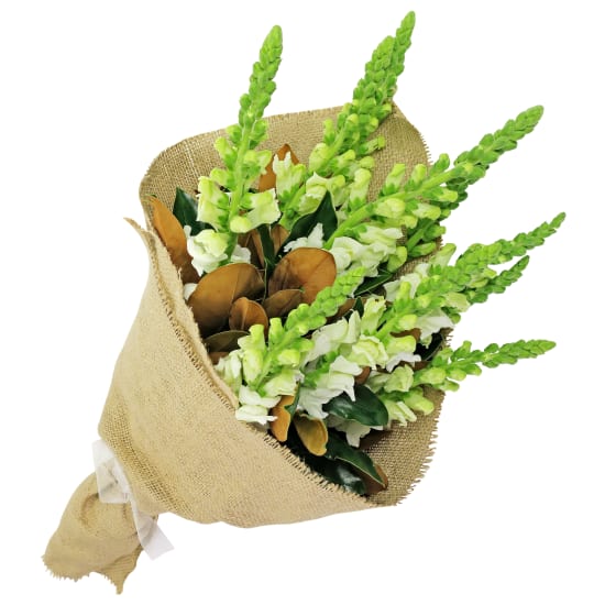 Greenleaf - Standard