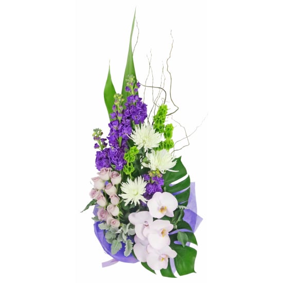 Visionary - Standard