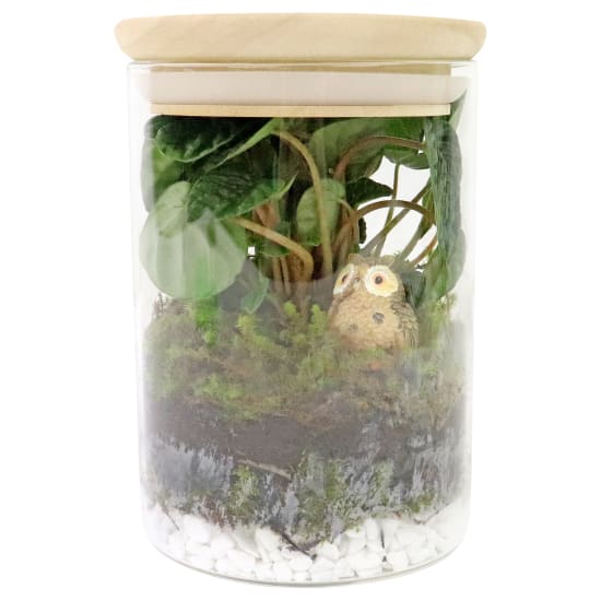 Hooterrarium - Standard