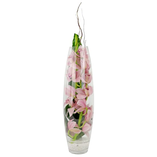 Orchid Wilde - Standard