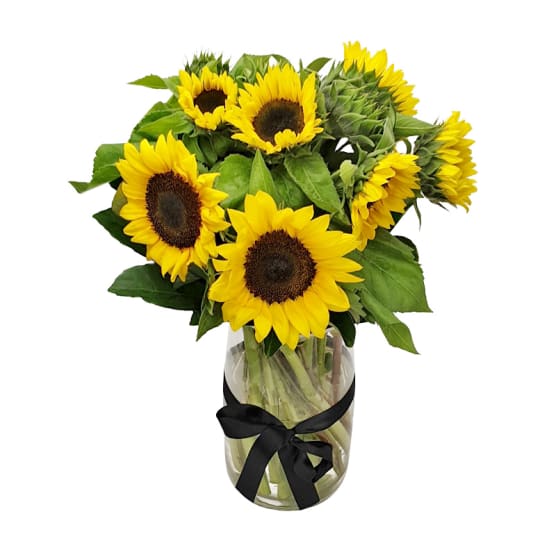 Sunflowers in a vase - Standard