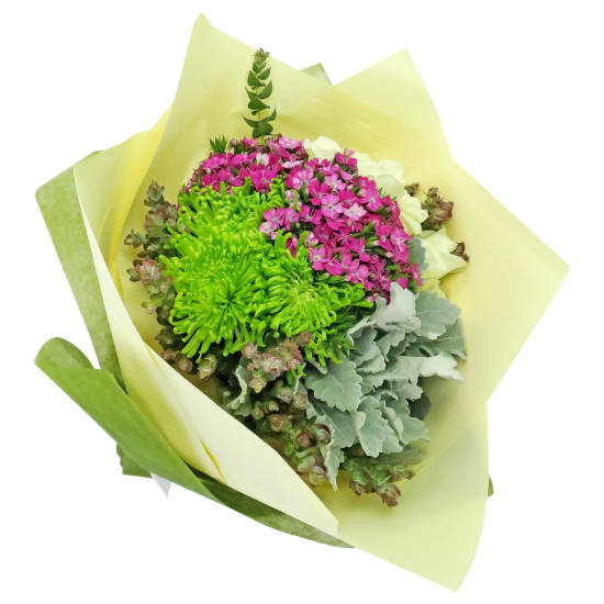 Friend Of The Forest - Standard