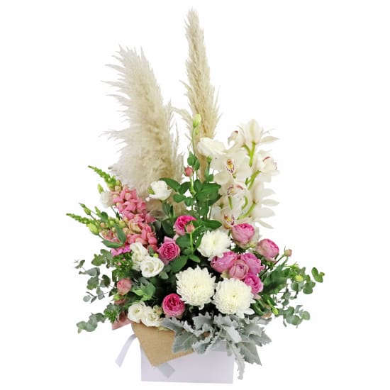 Mother Of All Nature  - Standard