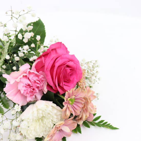 Surprise Little Flowers - Standard