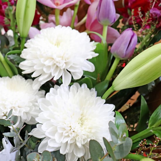 Goddess Of The Undergrowth - Standard