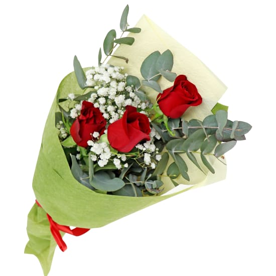 Rambling Roses - Standard