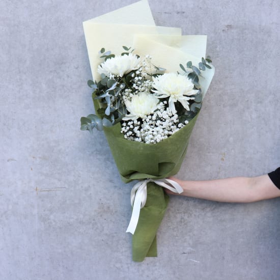 Darling Disbuds - Standard