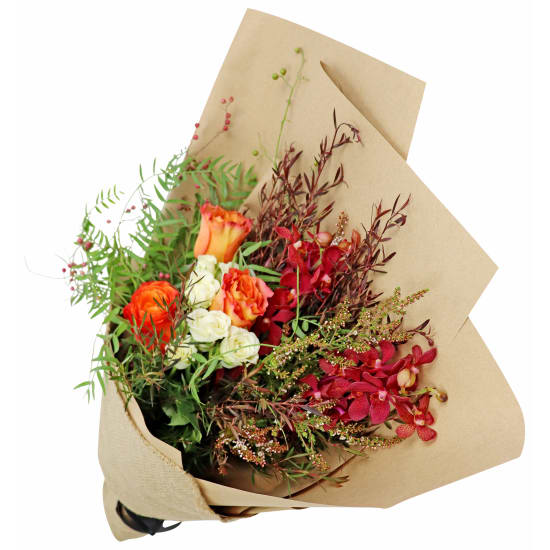 Sun Salutation - Standard