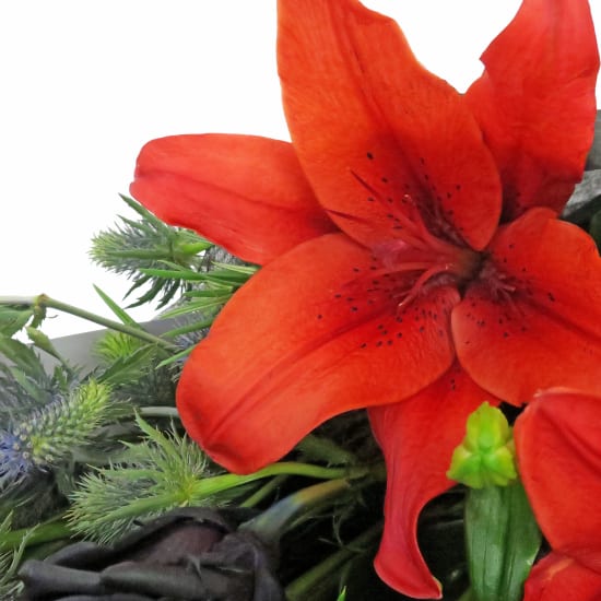 Black Swan's Bouquet - Standard