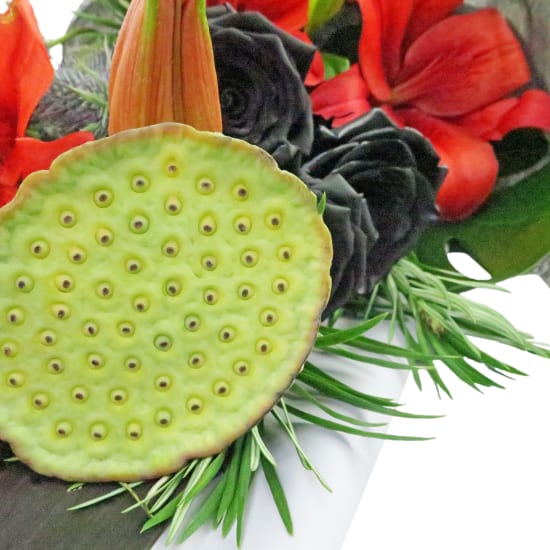 Black Swan's Bouquet - Standard