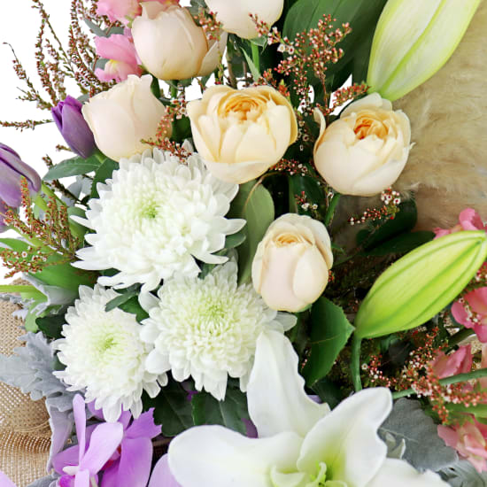 Tall Drink Of Water - Standard