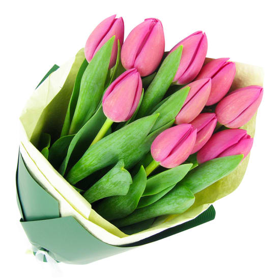 Pink Tulip Bunch - Standard