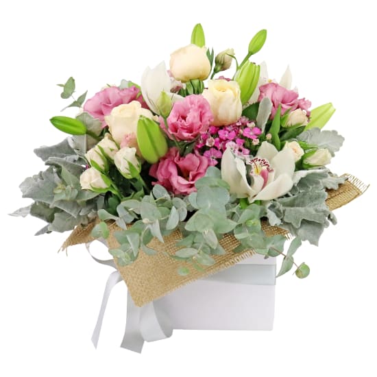 Sugar & Spice - Standard