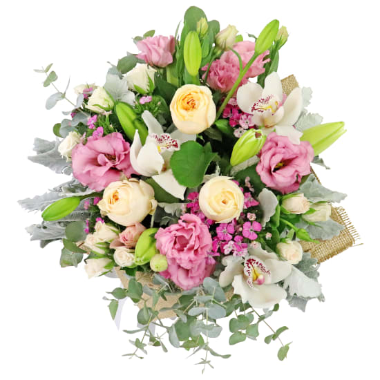 Sugar & Spice - Standard