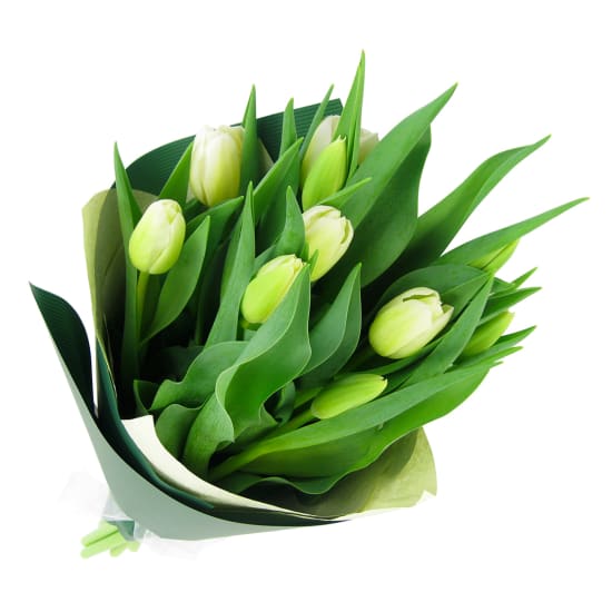 White Tulip bunch - Standard