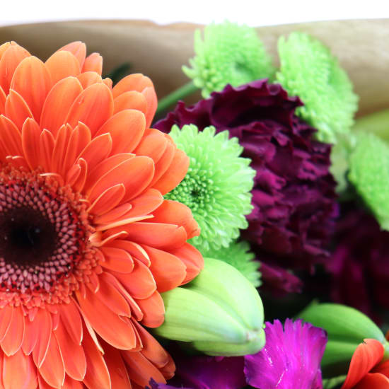 Smile For Me - Standard