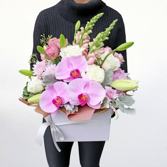 Leading Lady - Standard