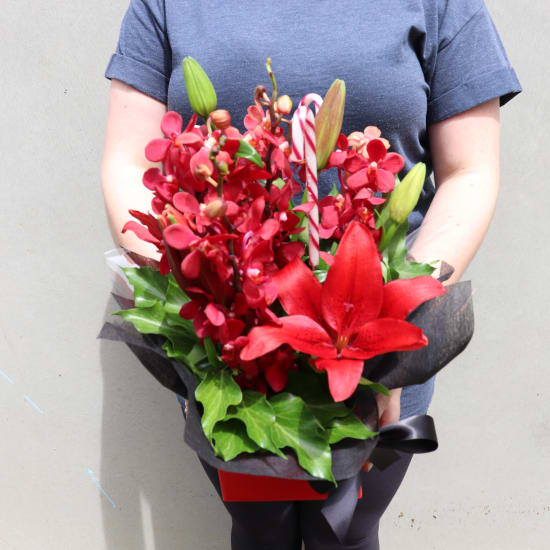 Making Christmas Magic - Red - Standard