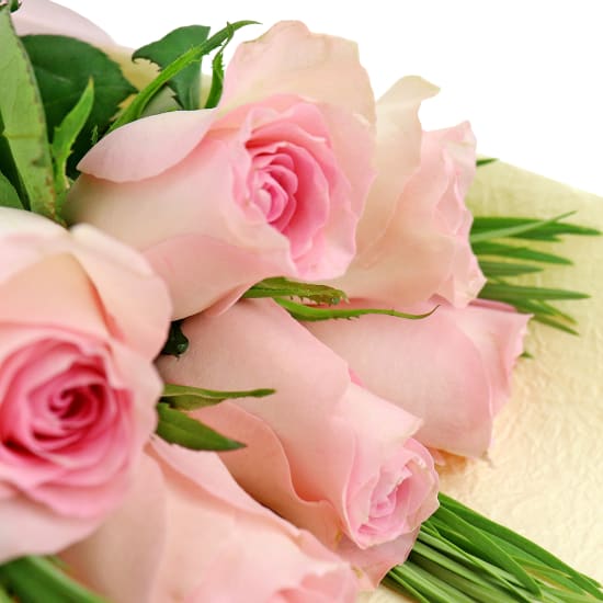 Soft Pink Rose Bunch - Deluxe