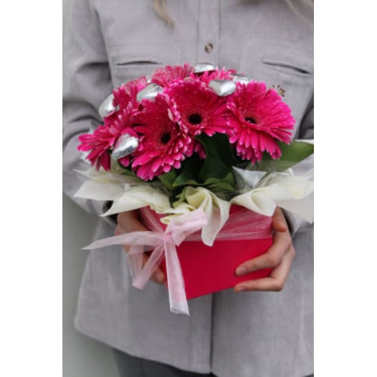 Gerbera and Chocolate Box - Standard