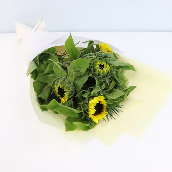 Sunflowers - Standard