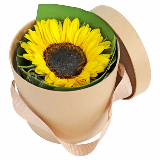 Surprise Sunflower Box - Standard