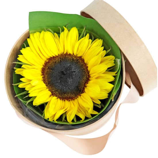 Surprise Sunflower Box - Standard