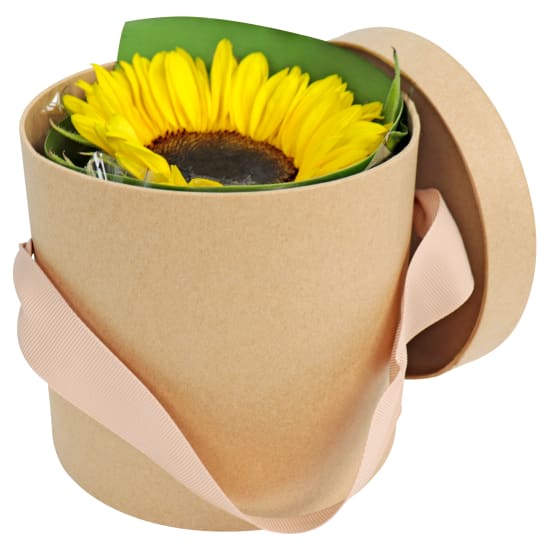 Surprise Sunflower Box - Standard