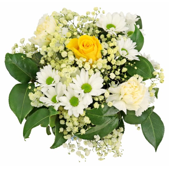 Hello Baby - Yellow and White - Standard