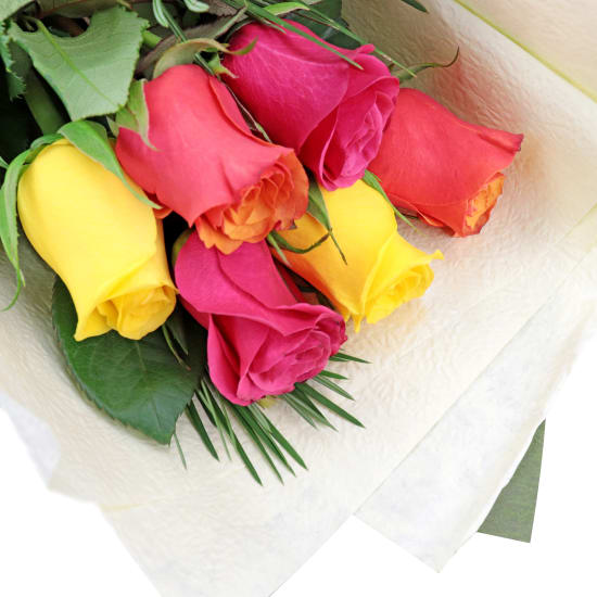 Just Roses - 6 Roses (Half Dozen)