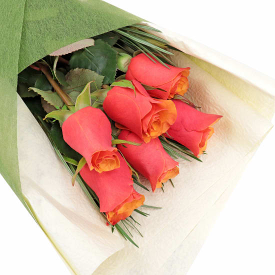 Orange Roses - 6 Roses (Half Dozen)