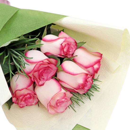 Paloma Roses - Standard