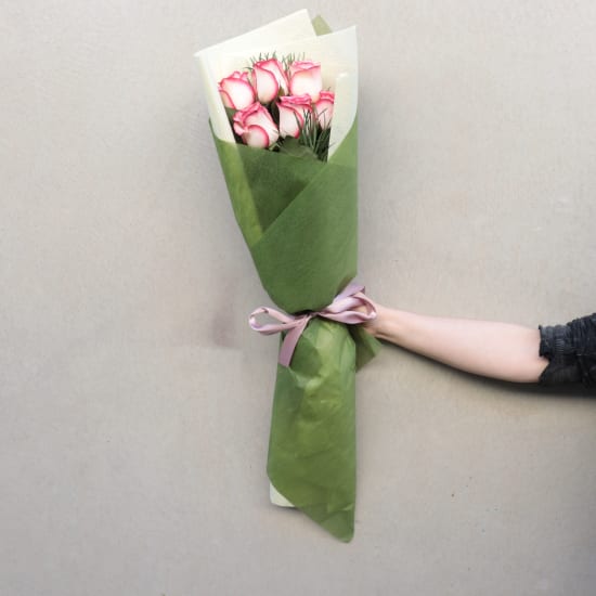 Paloma Roses - Standard