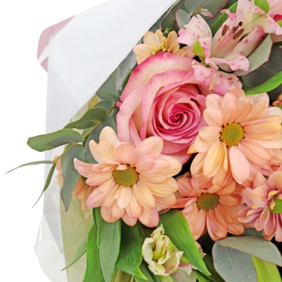 Surprise Little Flowers - Deluxe