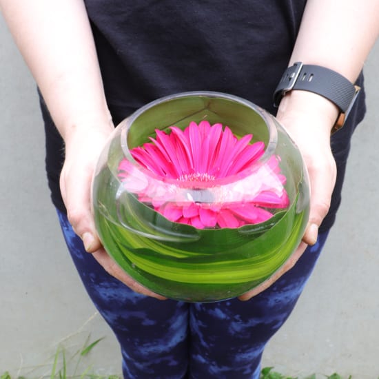 Gerbera Bowl - Standard