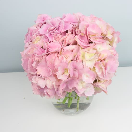 Hydrangea Vase - Standard