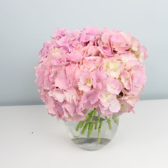 Hydrangea Vase - Standard