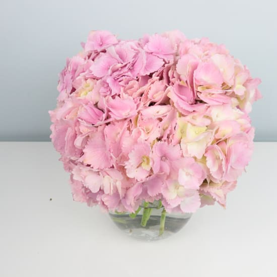 Hydrangea Vase - Standard