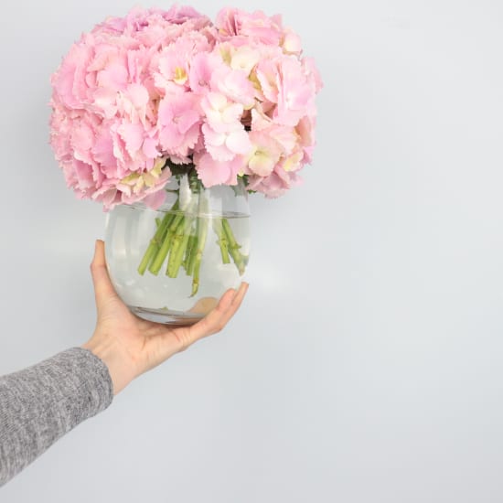 Hydrangea Vase - Standard