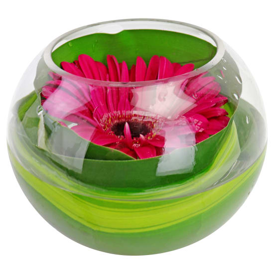 Gerbera Bowl - Standard