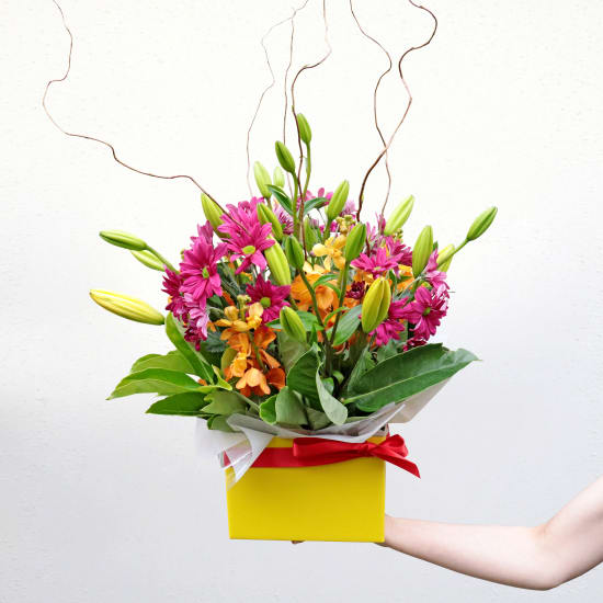 Botanique - Mixed Brights - Standard