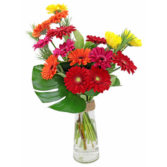 Contemporary Gerbera Vase - Standard