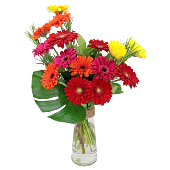 Contemporary Gerbera Vase - Standard