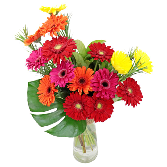 Contemporary Gerbera Vase - Standard