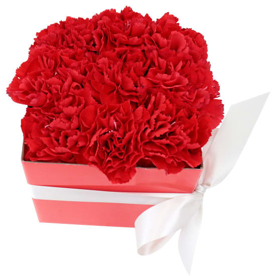  Little Flower Box - Red - Standard