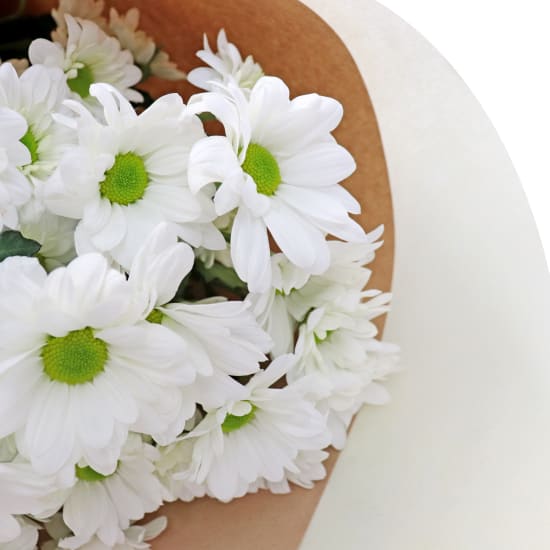 White Chrysanthemum Bunch  - Standard