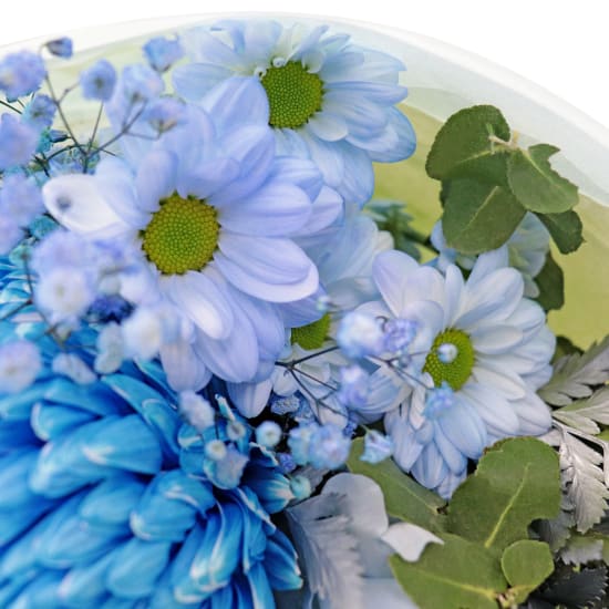 Ice Blue - Standard